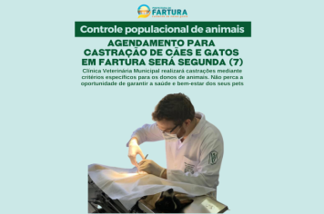 Agendamento para castração de cães e gatos em Fartura será segunda (7)