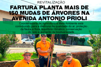 Fartura revitaliza avenidas e planta mais de 150 mudas de árvores na Avenida Antonio Prioli