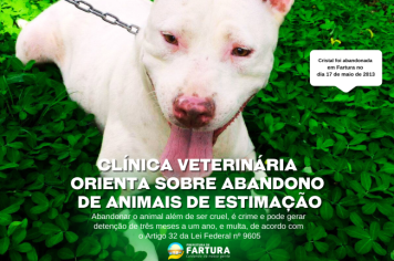 Clínica Veterinária Municipal orienta sobre abandono de animais de estimação