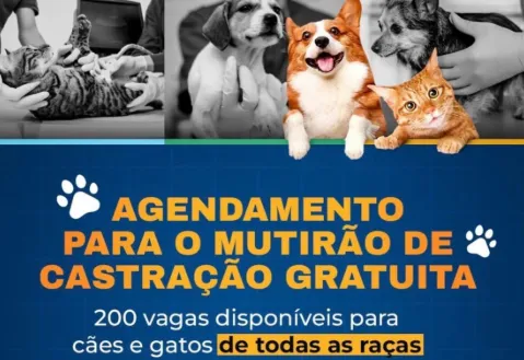 Prefeitura abre 200 vagas para mutirão de castração gratuita de cães e gatos